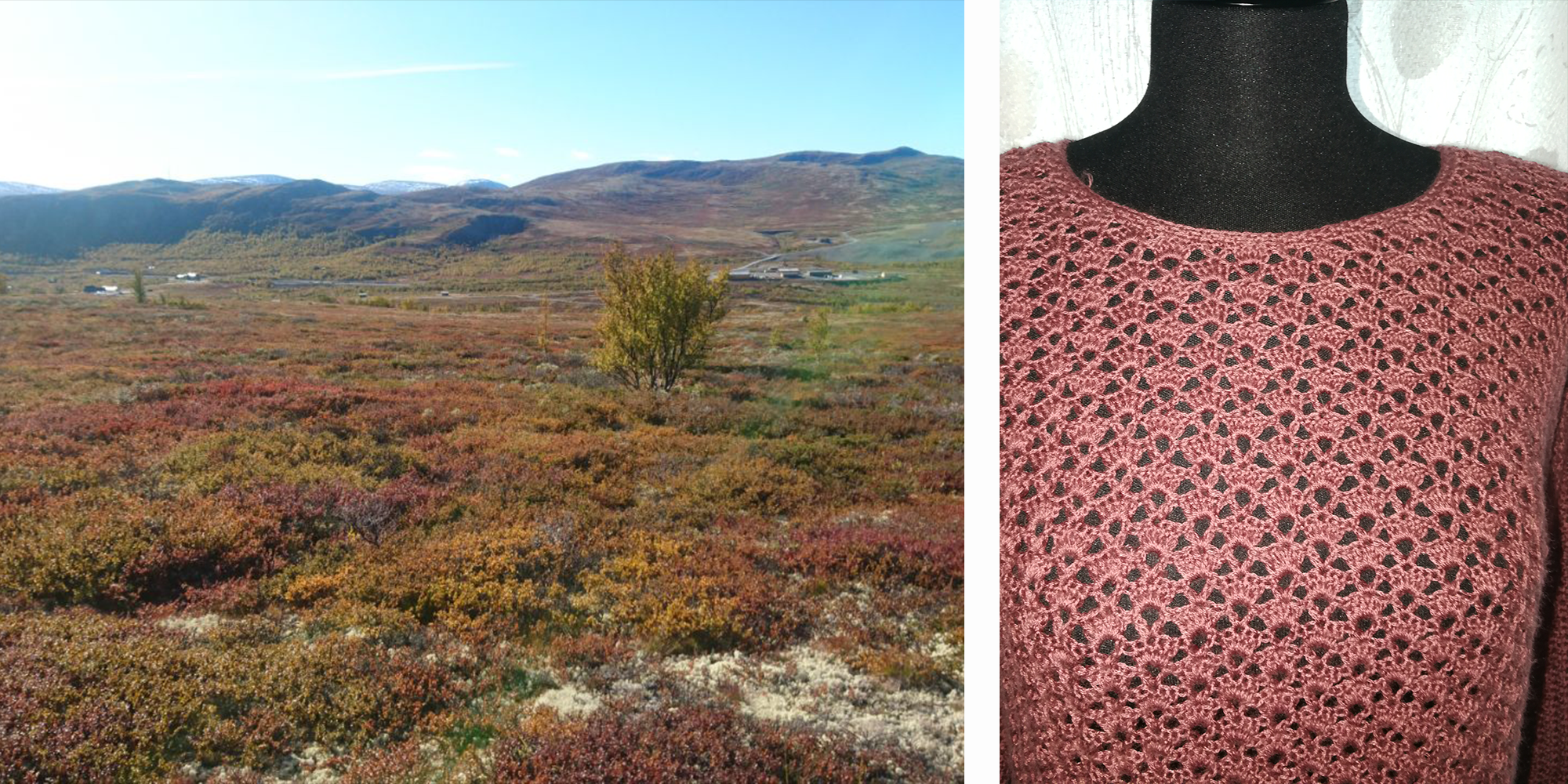haekelpullover